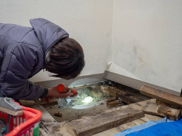 Best Comprehensive Air Testing for Mold Contaminants  in Benson, MN