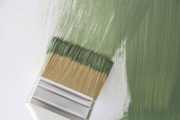 Best Commercial Mold Inspection  in Benson, MN