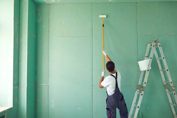 Best Asbestos and Lead Testing During Mold Inspection  in Benson, MN