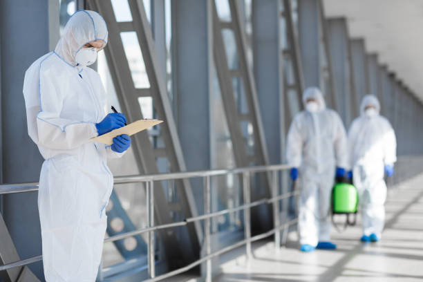 Best Mold Odor Removal Services  in Benson, MN