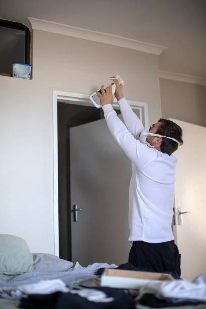 Best Real Estate Mold Inspection  in Benson, MN