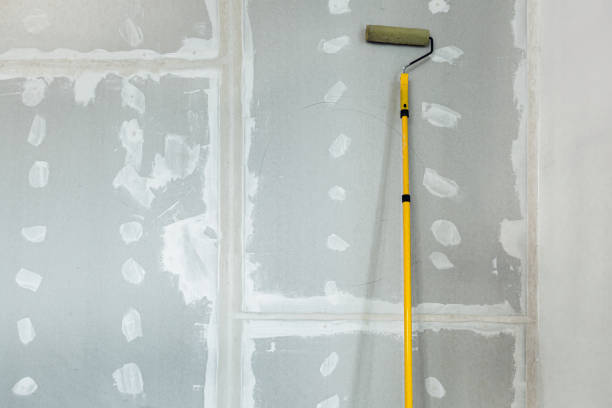 Best Residential Mold Inspection & Testing  in Benson, MN