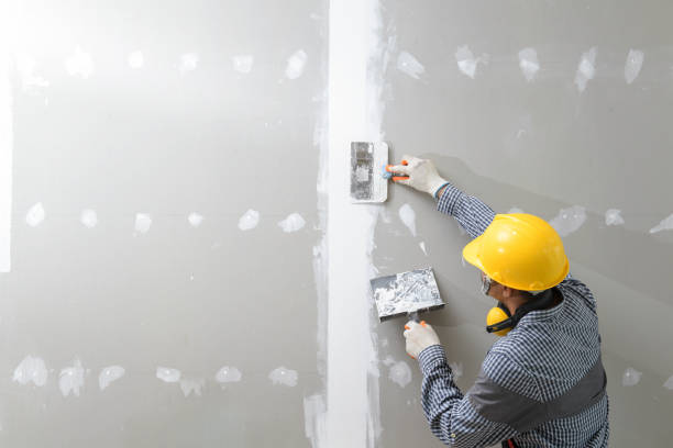 Best Industrial Mold Remediation  in Benson, MN