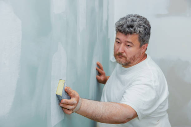 Best Mold-Related Health Consultation  in Benson, MN