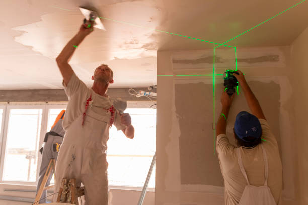 Best Emergency Mold Remediation  in Benson, MN