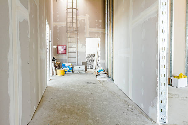 Best Basement Mold Removal  in Benson, MN
